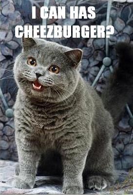 I-can-has-cheezburger.jpg